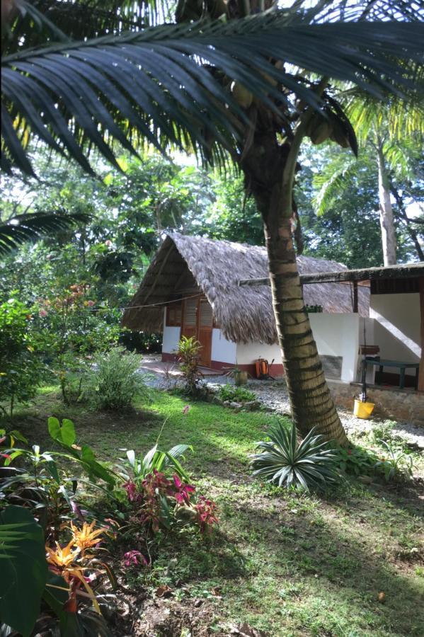 Cabañas Tucan Eco Hotel RNT 52523 Capurganá Exterior foto